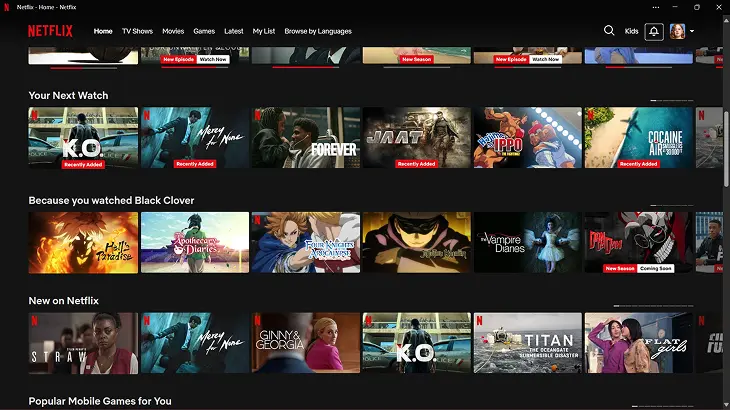 netflix 2 image